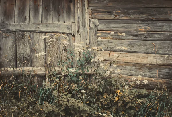 Dřevěná zeď staré stodoly na venkově. — Stock fotografie