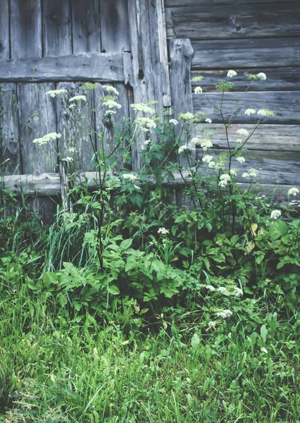 Wooden wall of old barn in the countryside. — 스톡 사진