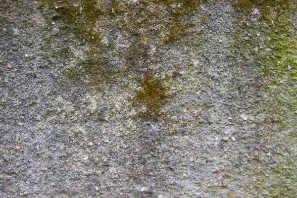 Alte Steinmauer mit Moos und Schimmel — Stockfoto