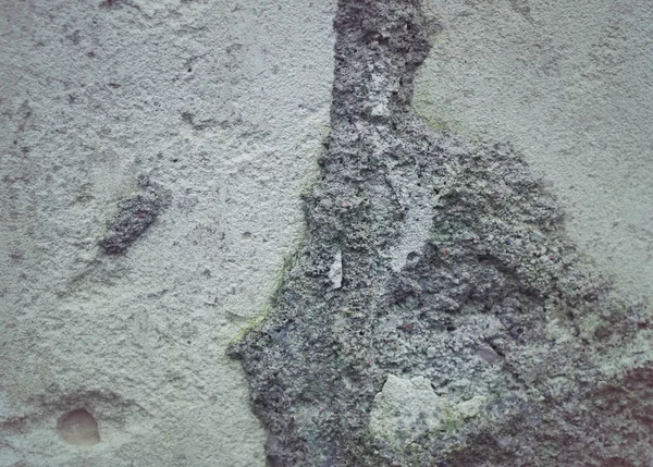 Старая каменная стена с мхом и плесенью — стоковое фото