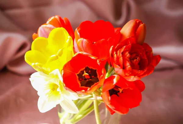 Тюльпани квіти весни . — стокове фото