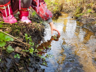 Orman deresi taşların arasından akıyor.