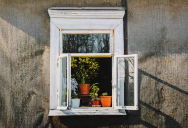 Kırsal kesimdeki saksılarda çiçekli antik ahşap pencereler..