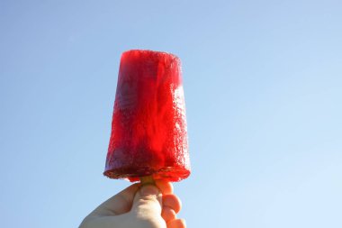 Kırmızı meyveli dondurma. Dondurma ve tahta çubuk..