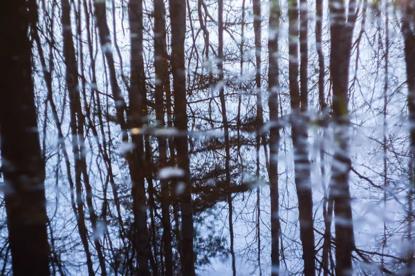 Petit ruisseau avec des reflets dans l'eau — Photo