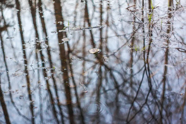 Kleiner Bach mit Spiegelungen im Wasser — Stockfoto