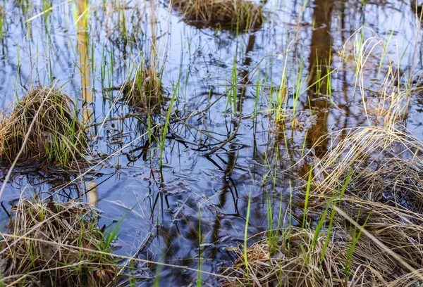 Kleine kreek met reflecties in het water — Stockfoto