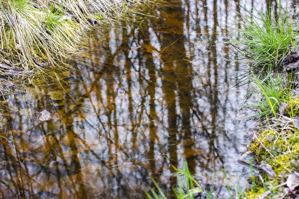Kleiner Bach mit Spiegelungen im Wasser — Stockfoto