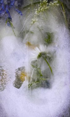 Ice Cube ile kozmetik prosedürler için çiçekler.