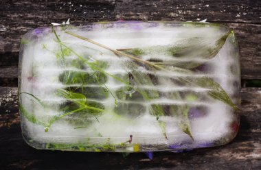 Ice cube, yaz yeşil çimen çiçekler ile.