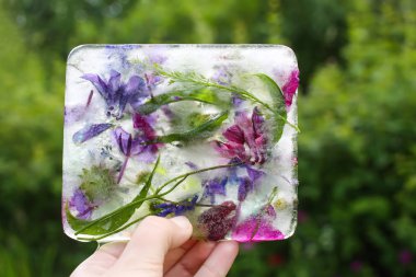 Ice cube, yaz yeşil çimen çiçekler ile.