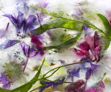 Ice cube, yaz yeşil çimen çiçekler ile.