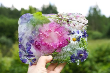 Ice cube, yaz yeşil çimen çiçekler ile.