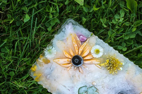 Cubo de hielo con flores para procedimientos cosméticos . — Foto de Stock