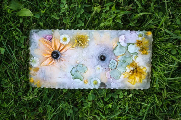 Cubo de hielo con flores para procedimientos cosméticos . — Foto de Stock