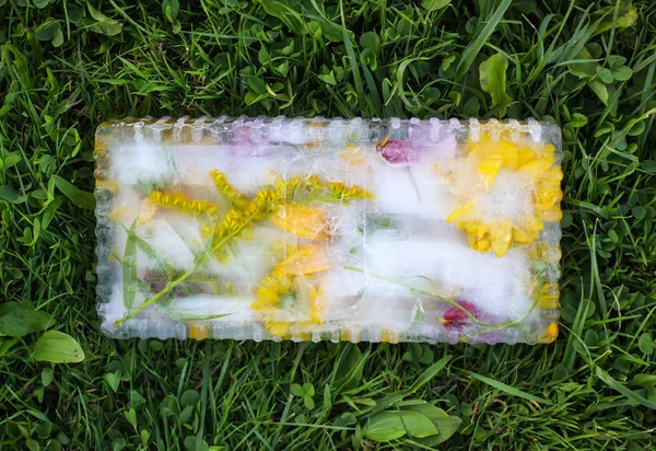 Cubo de hielo con flores para procedimientos cosméticos . — Foto de Stock