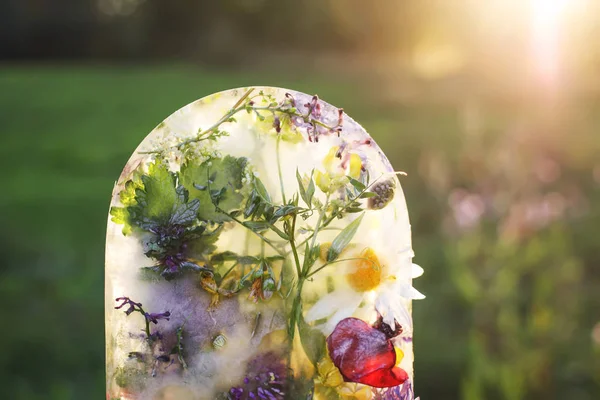 Ice cube with flowers for cosmetic procedures. — Stock Photo, Image