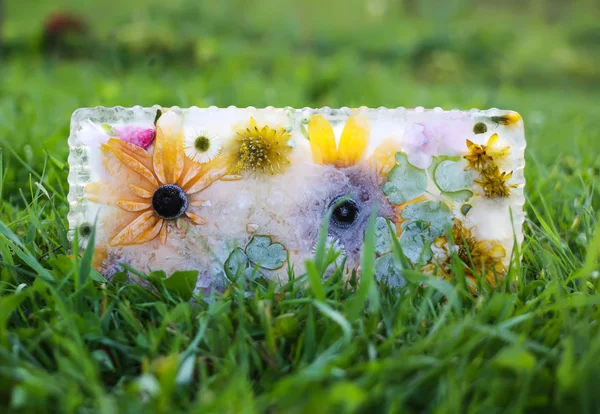 Cubo de hielo con flores para procedimientos cosméticos . — Foto de Stock