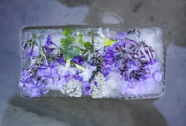 Cubo de hielo con flores sobre hierba verde en verano . — Foto de Stock