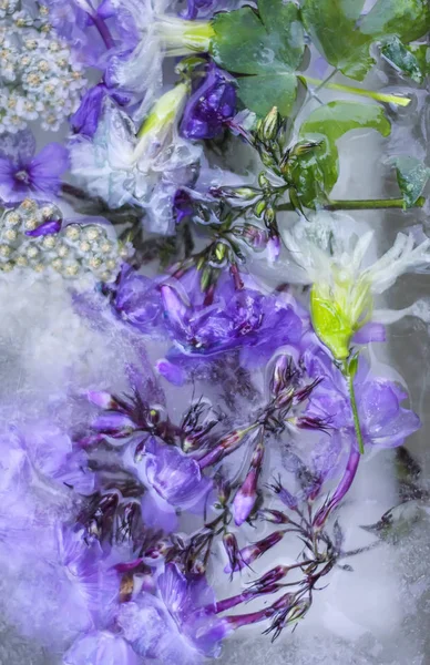 Cube de glace avec des fleurs sur herbe verte en été . — Photo