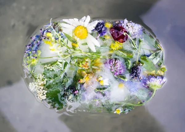 Ледовый куб с цветами на зеленой траве летом . — стоковое фото