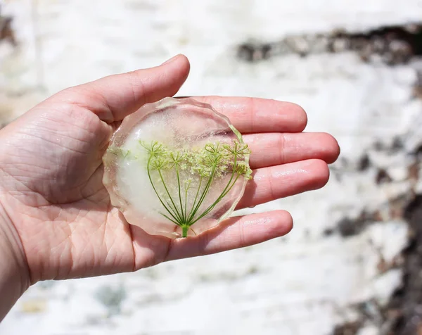 Cubo de hielo con flores sobre hierba verde en verano . — Foto de Stock