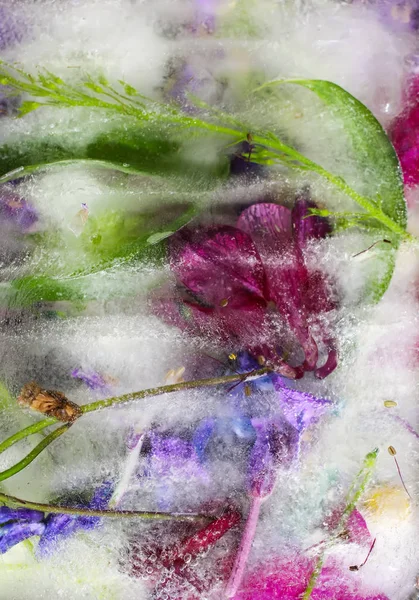 Cubo di ghiaccio con fiori sull'erba verde in estate . — Foto Stock