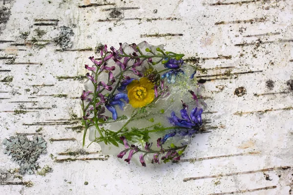 Cubo de hielo con flores sobre hierba verde en verano . — Foto de Stock