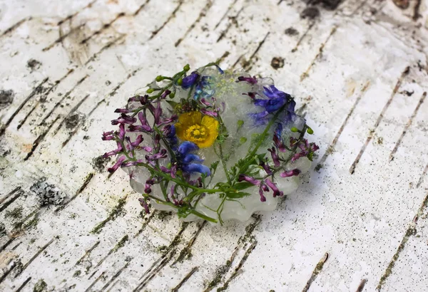 Cubo de hielo con flores sobre hierba verde en verano . — Foto de Stock