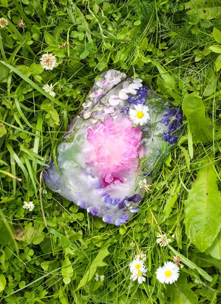 夏天在绿草上有鲜花的冰立方. — 图库照片