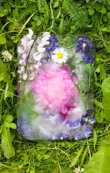 Ледовый куб с цветами на зеленой траве летом . — стоковое фото