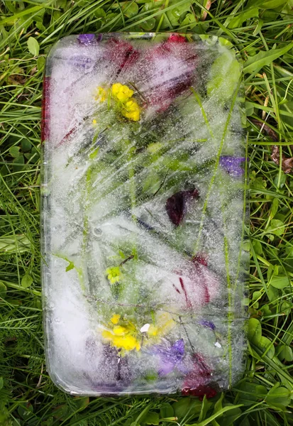 Cubo de hielo con flores sobre hierba verde en verano . — Foto de Stock