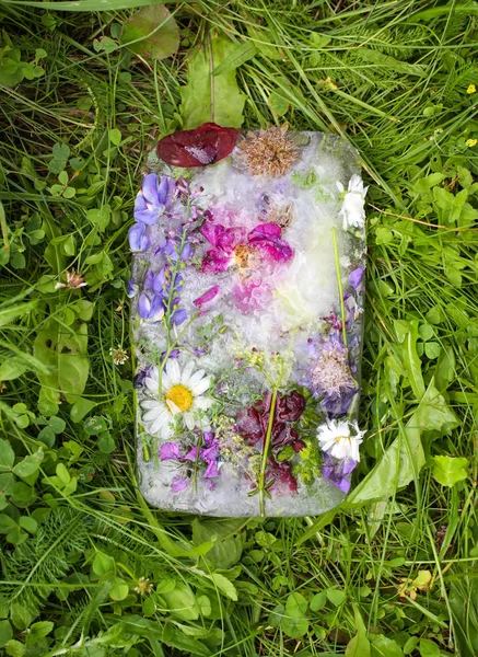 Cubo di ghiaccio con fiori sull'erba verde in estate . — Foto Stock