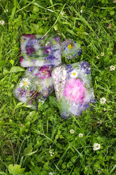 Cubo de hielo con flores sobre hierba verde en verano . — Foto de Stock
