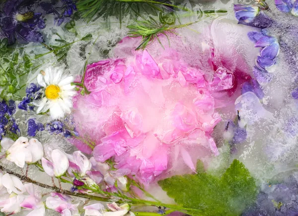 Ice cube with flowers on green grass at summer. — Stock Photo, Image