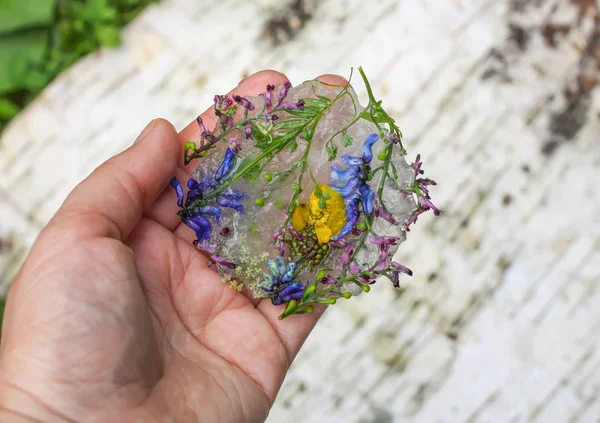 Cubo de hielo con flores sobre hierba verde en verano . — Foto de Stock