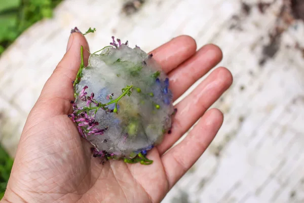 Cubo di ghiaccio con fiori sull'erba verde in estate . — Foto Stock