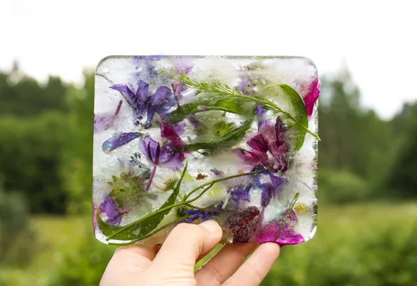 Cubo di ghiaccio con fiori sull'erba verde in estate . — Foto Stock