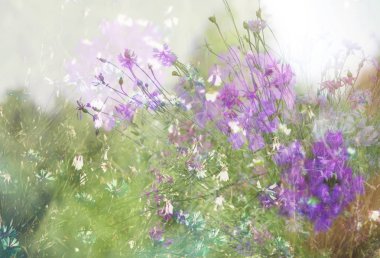 Güzel çiçekler, çiçekli arka plan.