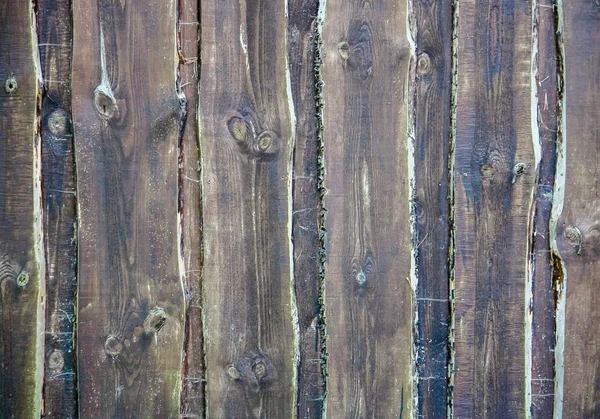 Placas de madeira textura. Rough natural weathered madeira backgound . — Fotografia de Stock