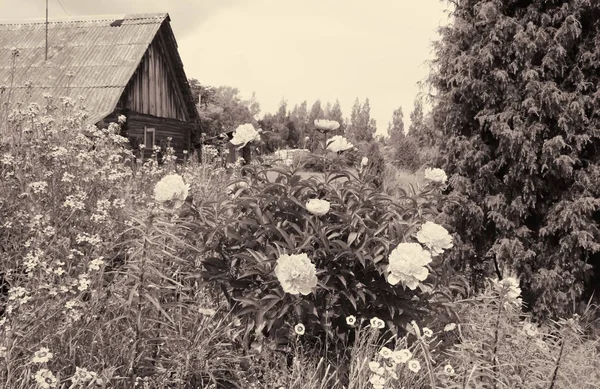 Vertical Shot Wooden House Flowers Vintage Photo — 스톡 사진