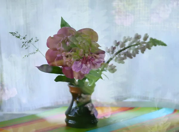 花瓶里漂亮的花 — 图库照片