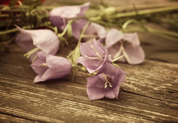 Schöne Blumen Auf Holzgrund — Stockfoto
