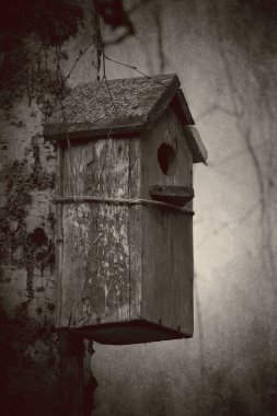 Ahşap arka plan üzerinde kuş evi