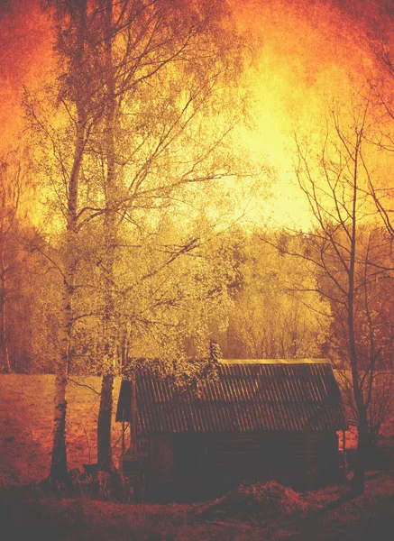 Vieille Maison Bois Dans Forêt — Photo