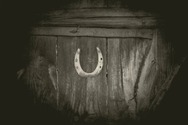 Old Wooden Door Horseshoe — Stockfoto