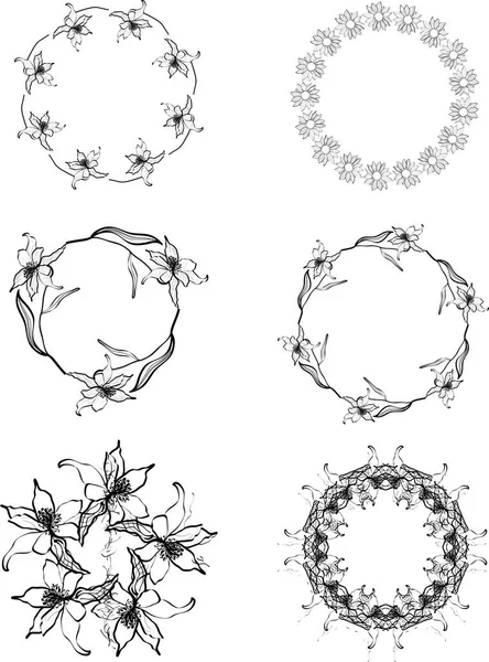 Set Floral Circle Elements Design Vector Illustration — Vetor de Stock