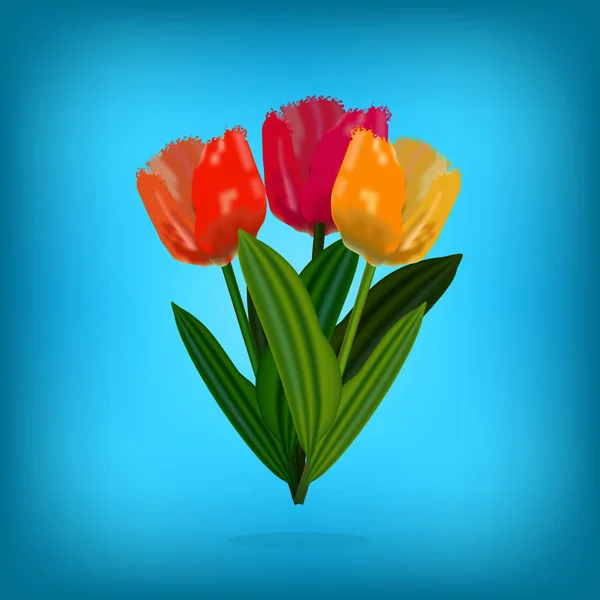 Coloridas flores de tulipán — Vector de stock