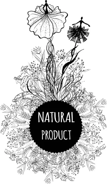 Rótulo do vetor para produtos cosméticos naturais . — Vetor de Stock