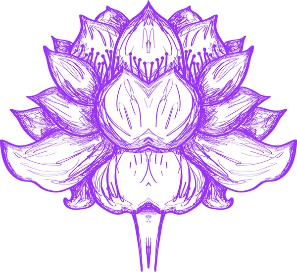 Ilustração flor de lótus — Vetor de Stock